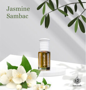 Jasmine Sambac