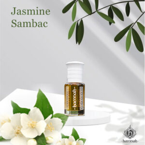 Jasmine Sambac