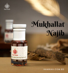 Mukhallat Najib